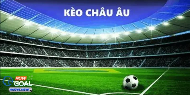 Kèo Châu Âu - Cách hiểu cơ bản cho người mới